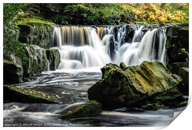 Nelly Ayre foss near Goathland in the yorkshire moors 199 Print by PHILIP CHALK