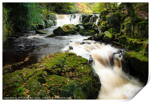 Nelly Ayre foss waterfalls  near Goathland in the yorkshire moors 200 Print by PHILIP CHALK