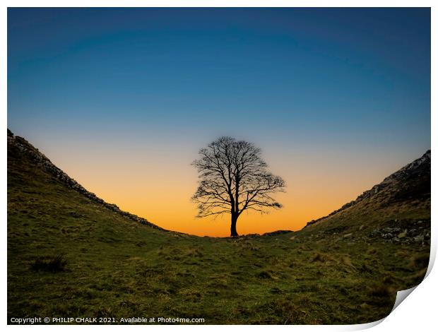 Sycamore gap sunset 372  Print by PHILIP CHALK