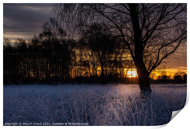 Sunrise on the common 399  Print by PHILIP CHALK