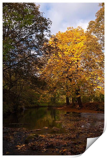 Autumn in Uppermill Print by Jeni Harney