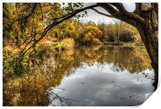 Across the Water Print by Jeni Harney