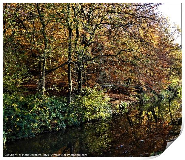 Majestic Autumn Trees Print by Mark Chesters