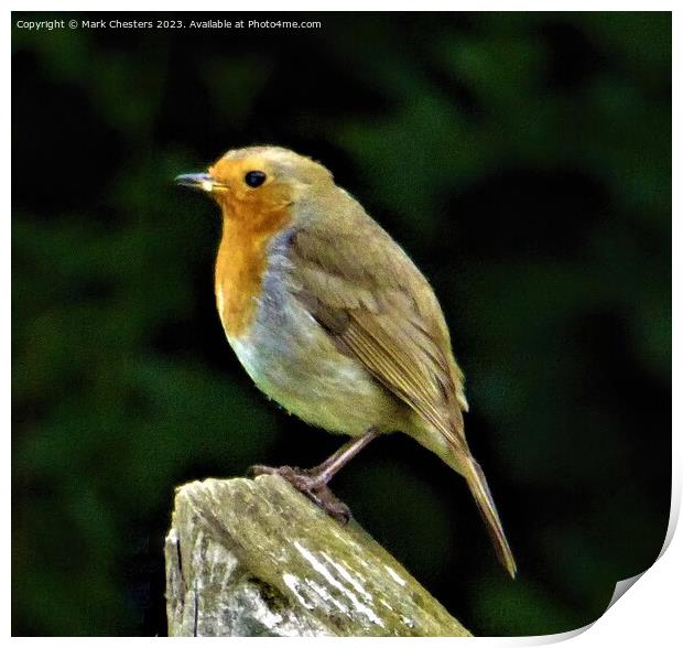 Cheerful Robin on a Wooden Post Print by Mark Chesters
