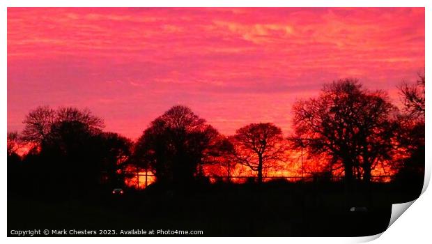 Majestic Sunset Silhouette Print by Mark Chesters