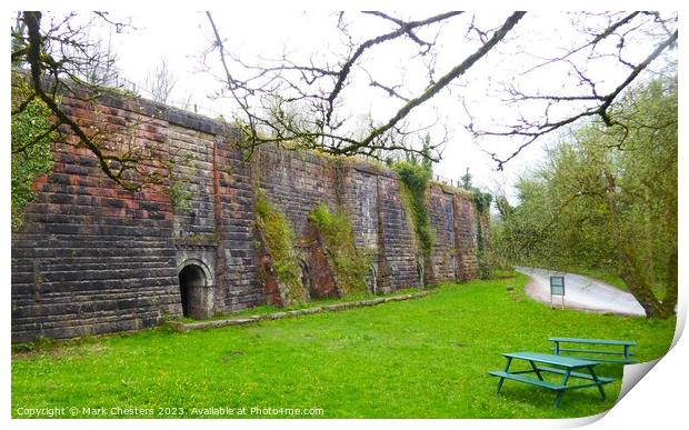Froghall Lime Kilns Print by Mark Chesters