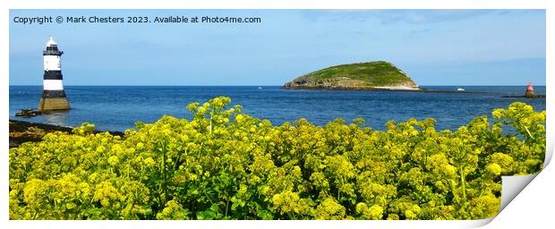 Penmon point flowers Print by Mark Chesters