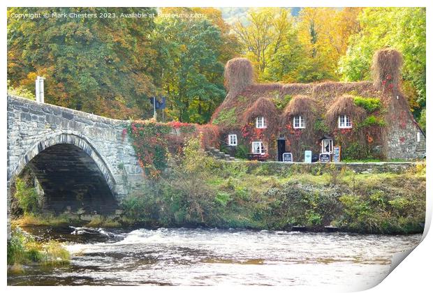 Llanrwst Tearoom and river Print by Mark Chesters