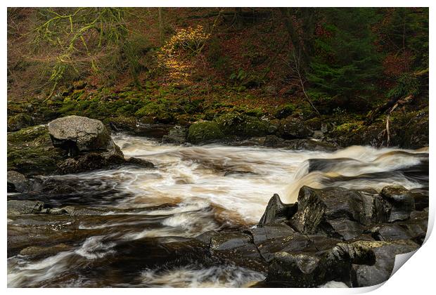 The river Braan Dunkeld  Print by Anthony McGeever