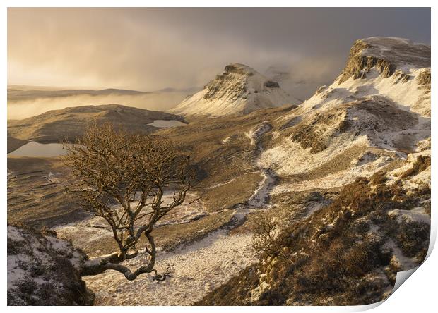 A winter sunrise on the Quiraing  Print by Anthony McGeever