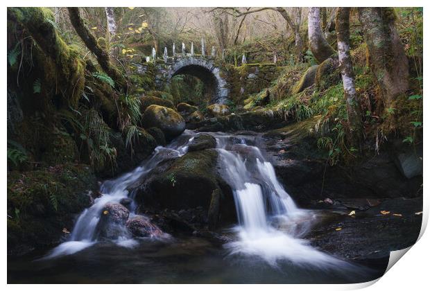 The Magical Fairy Bridge Print by Anthony McGeever