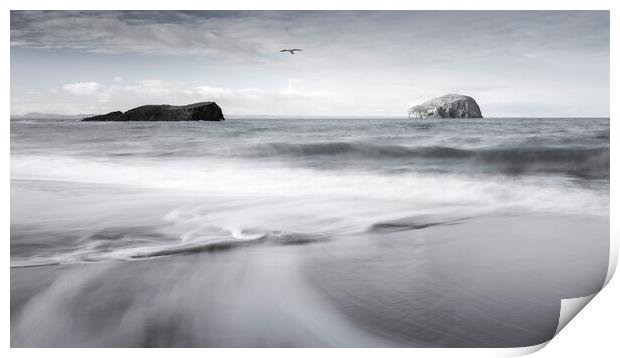 Seacliff Beach and Bass Rock  Print by Anthony McGeever