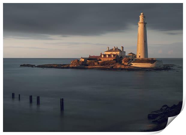 St Marys Lighthouse  Print by Anthony McGeever