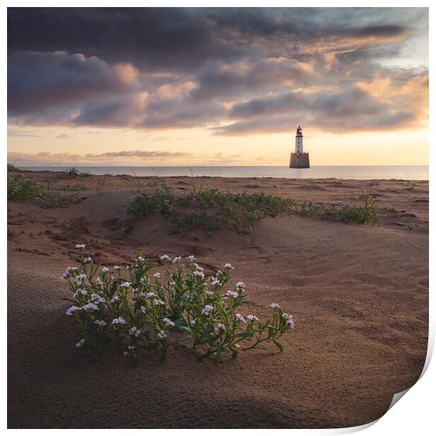 Sea Rocket at Rattray Lighthouse Print by Anthony McGeever