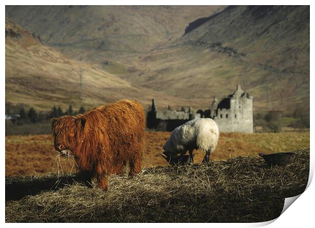 Scottish Highlands  Print by Anthony McGeever