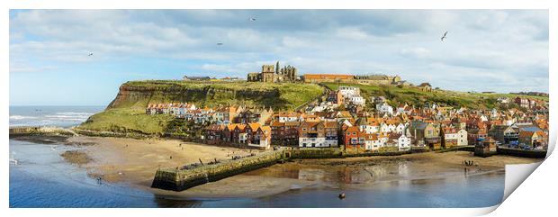 Whitby Panorama  Print by Anthony McGeever