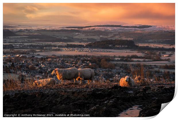 Sunrise over Stirling  Print by Anthony McGeever