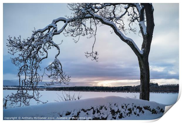 A Winter Sunset Print by Anthony McGeever