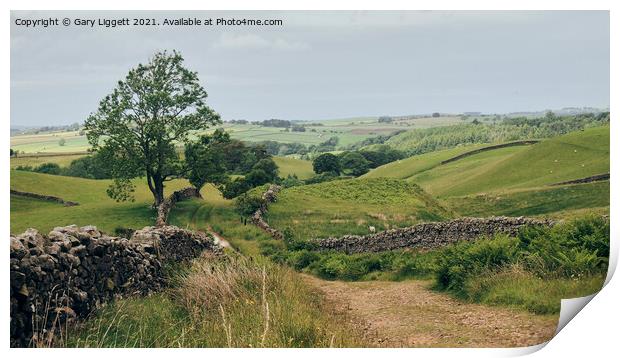 The old drovers' track at Melcha Bottom Print by Gary Liggett