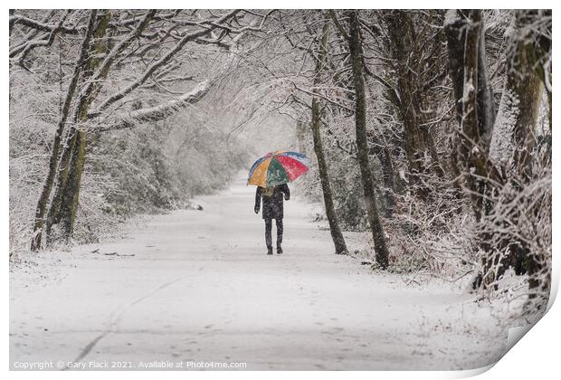 Colour Brolly in the snowy woods Print by That Foto
