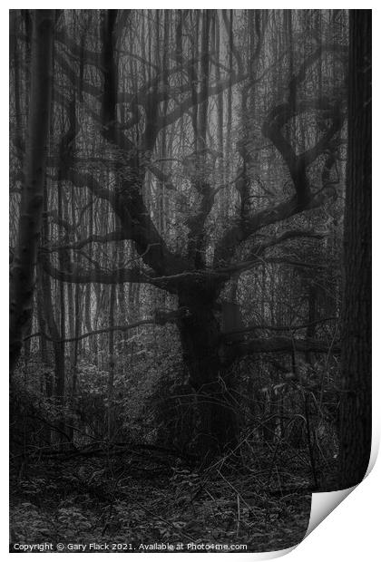 A double exposure old spooky tree in the mist Print by That Foto