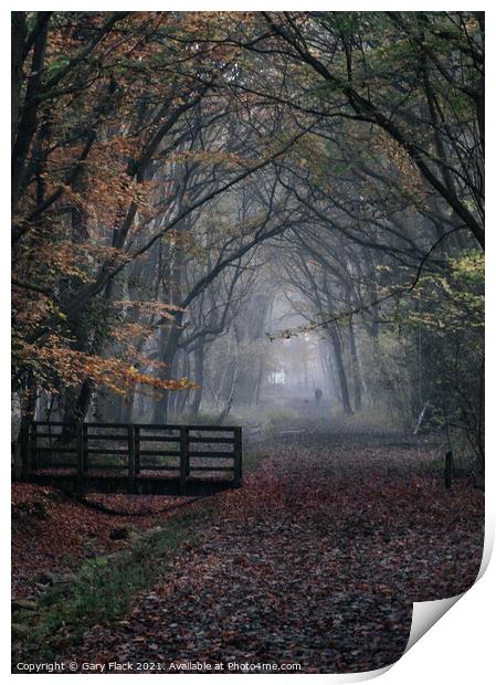 Autumn woods walk,misty Print by That Foto