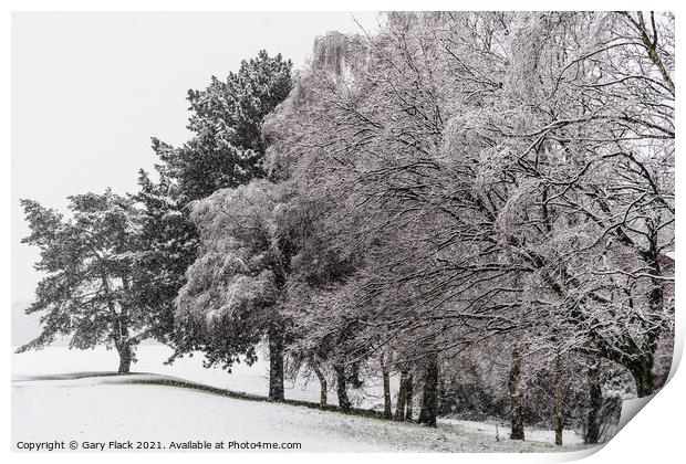 Winter Snow covered line of trees Print by That Foto