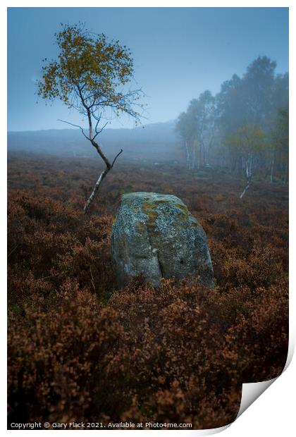 Surprise View , Lone Silver Birch Derbyshire Peak  Print by That Foto