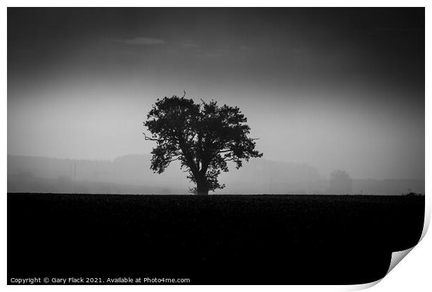 Louth Lincolnshire, Misty lone tree on a ploughed field in Back and White Print by That Foto