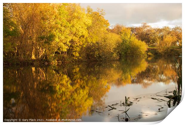 Boating Lake Sandall Park Doncaster in Autumn Print by That Foto