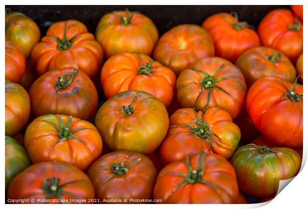 tomatoes Print by MallorcaScape Images