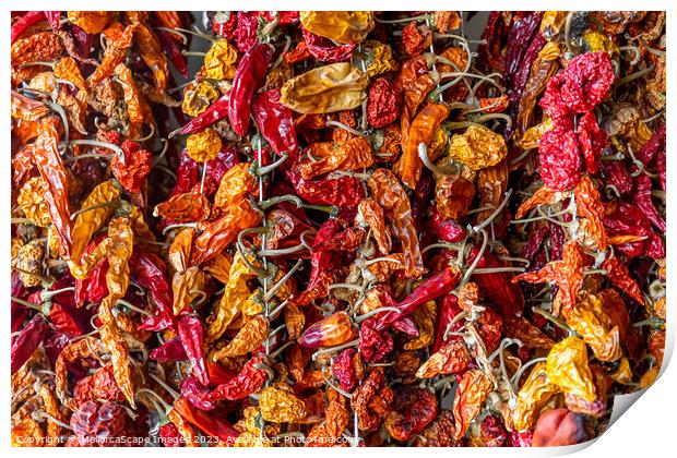 dried chili peppers Print by MallorcaScape Images