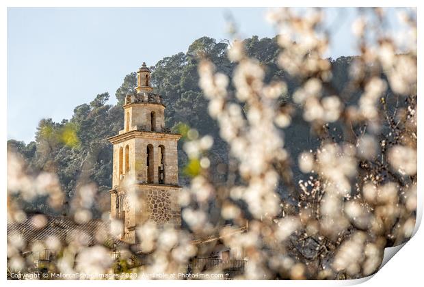 Almond blossom season in village Caimari, Mallorca Print by MallorcaScape Images