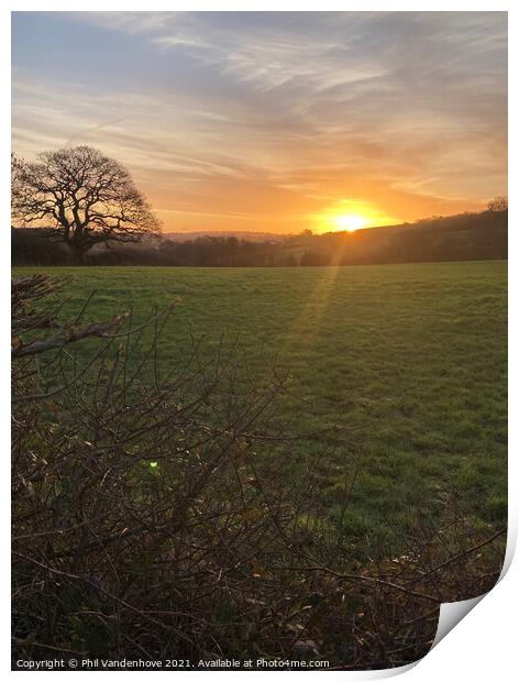January Devon dawn over Devon fields Print by Phil Vandenhove
