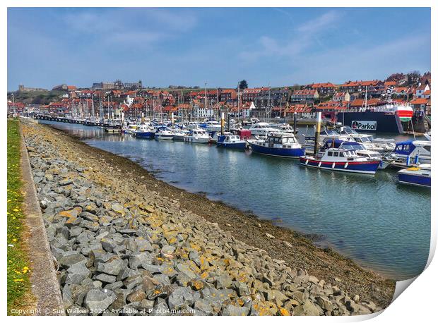 Whitby Harbour Print by Sue Walker