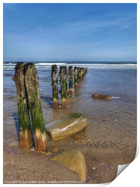 Seaside groins at Sandsend, Whitby Print by Sue Walker