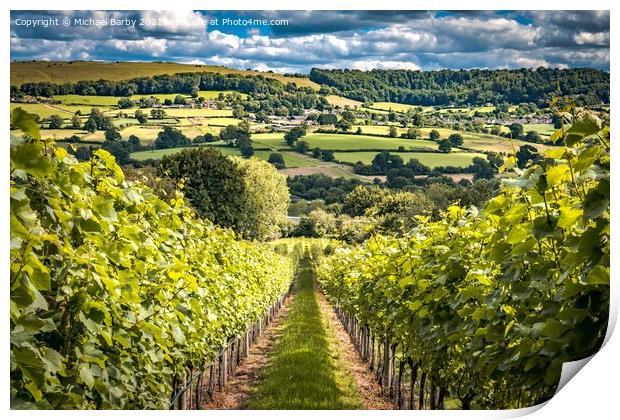 Cotswold Vineyard Print by Michael Barby