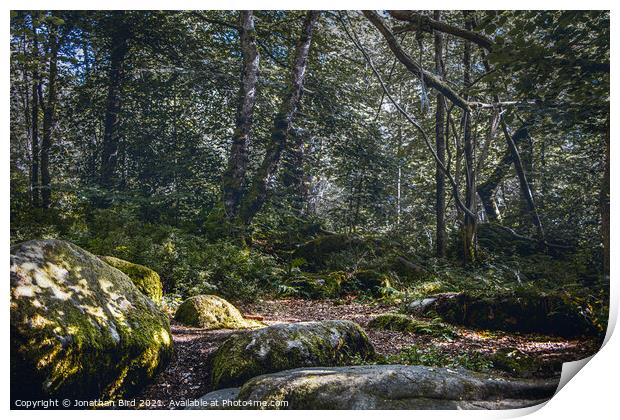 Sun Speckled Rocks Print by Jonathan Bird