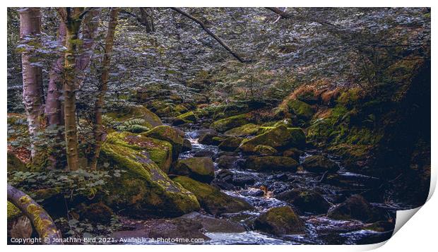 Burbage Brook, Padley Gorge Print by Jonathan Bird