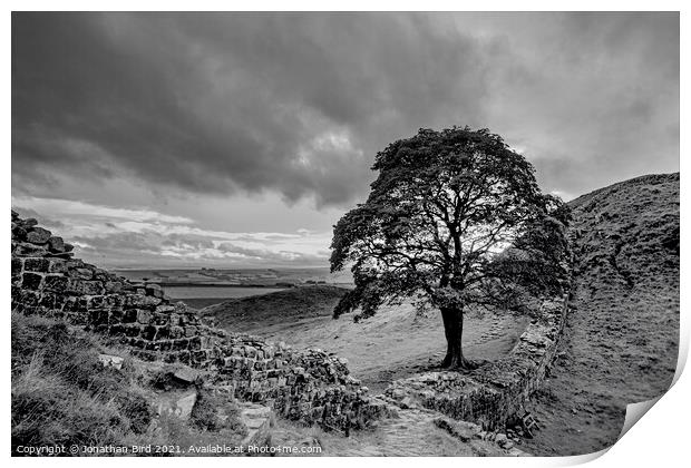 Sycamore Gap, View to the North Print by Jonathan Bird