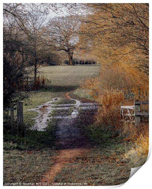 A well Worn Path, Hutton Country Park  Print by Jonathan Bird