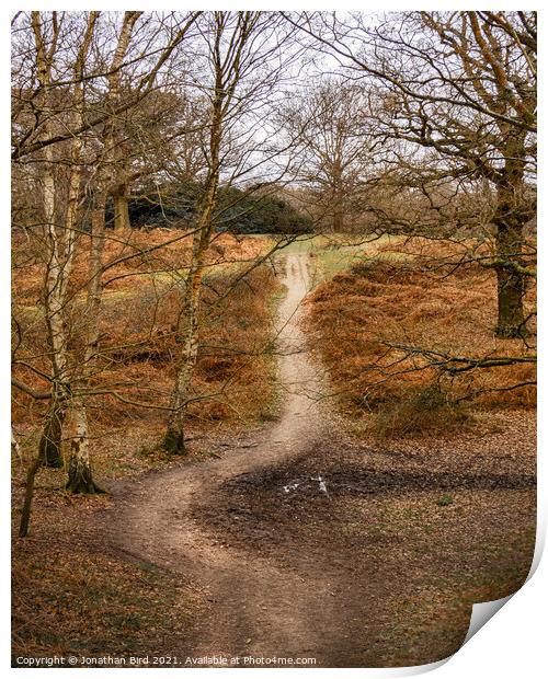 The Deviation, Weald Country Park Print by Jonathan Bird