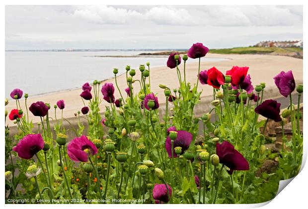 Poppies on the Beach Print by Lesley Pegrum