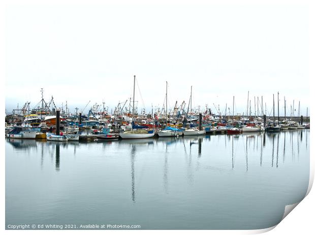 Newlyn Harbour Print by Ed Whiting