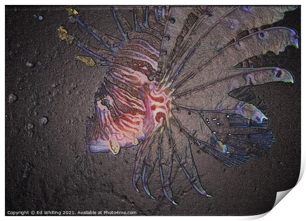 Abstract Lionfish, fossil look Print by Ed Whiting