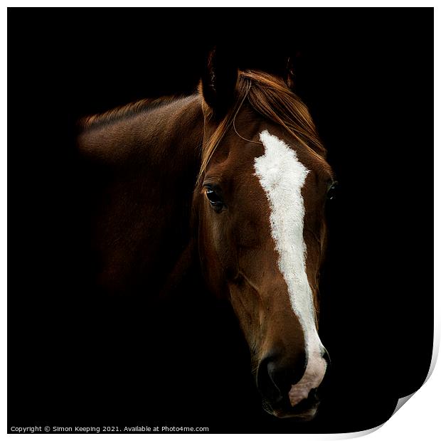 HORSE WITH BLAZE Print by Simon Keeping