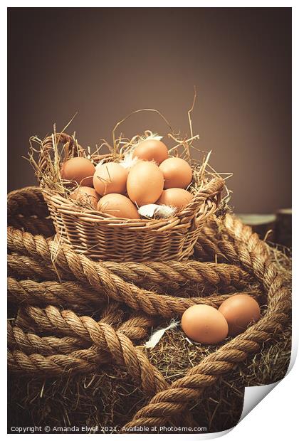 Close Up Of Fresh Eggs Print by Amanda Elwell