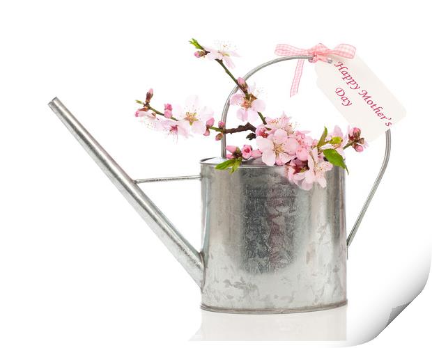Mothers Day Watering Can Print by Amanda Elwell