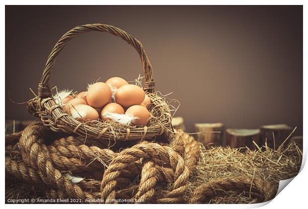 Fresh Eggs Print by Amanda Elwell
