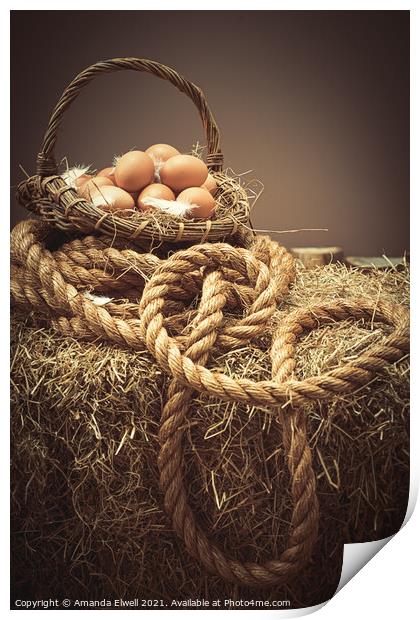 Eggs In Basket Print by Amanda Elwell